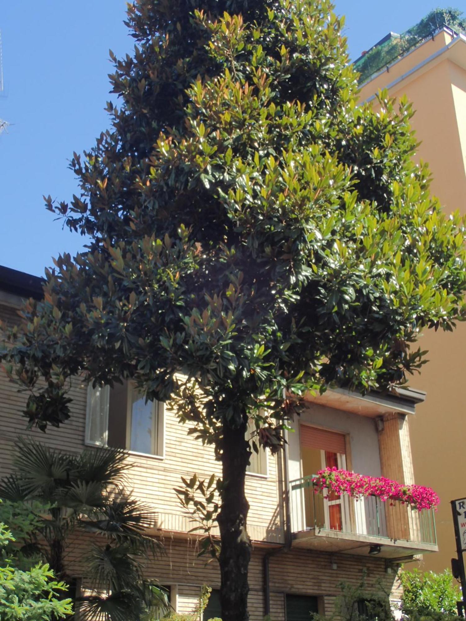 Hotel Brivio Milano Exterior foto